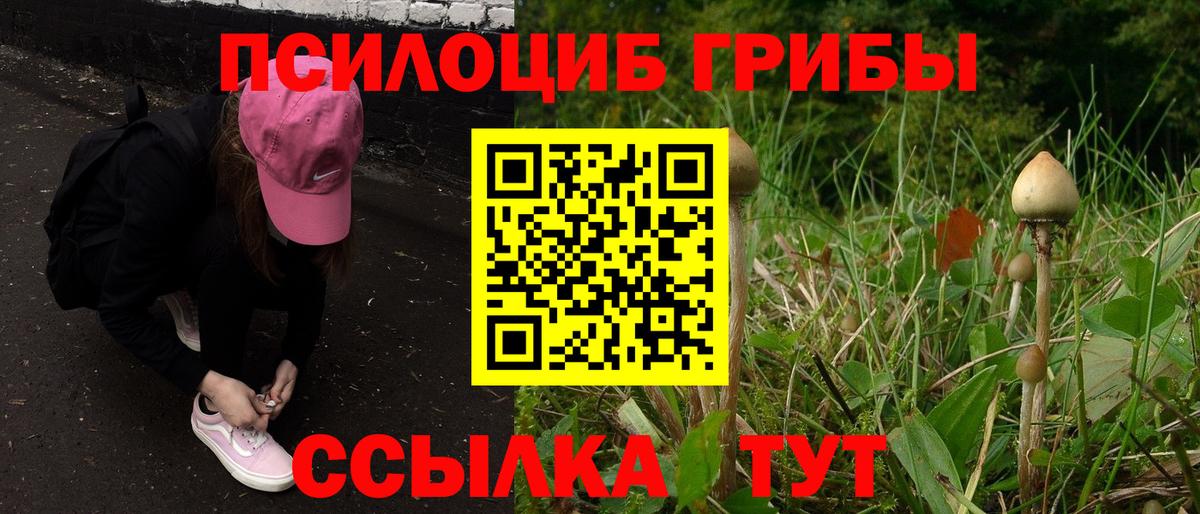 Галлюциногенные грибы Psilocybe Гагарин
